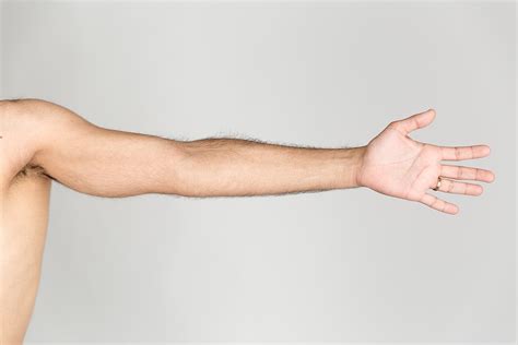arm .